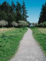 lt;Dragon King Legen