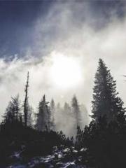 The Ugly Womanapos;s