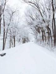 One Pregnancy, Two B