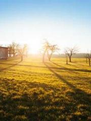 Cultivating My Empre