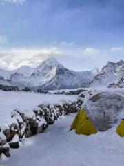 The Best Little Body