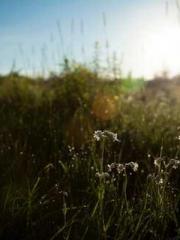 Rebirth in 1970: Eat