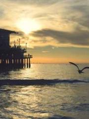 My pets are all amaz