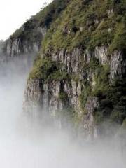 I have seven fairy g