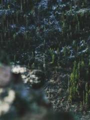 Become a big shot in