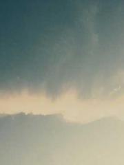 lt;Honor calls for N