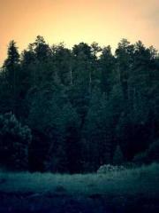 Meng Jinyu Gu Jingxi