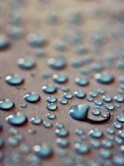 Ling Hao Qin Yuxin R