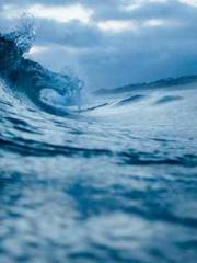 The Undefeated Son-i