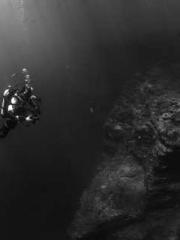 Mr. Gu, your wife is