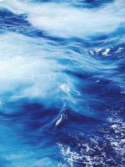 lt;Heavenly Fire Dyn