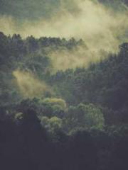 Retired War God Yang