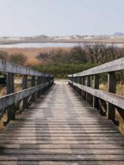 Chen Pingapos;an and