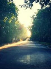 lt;lt;Waste Material