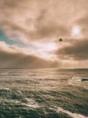 Saintly Gate Venerab