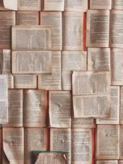 The Ugly Womanapos;s