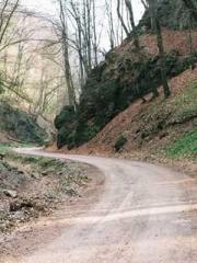 Lin Feng Lin Yun Yao