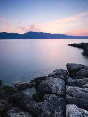 King of the Nine Pro