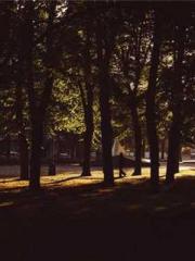 The Favorite Concubi