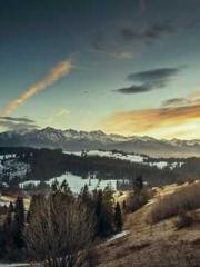 lt;Gingerly, Shen Qi