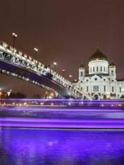 Double Blessing: CEO