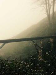 The Legend of the Dr