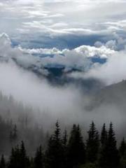 Lu Zongapos;s Hidden