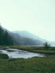 Becoming a Farm Girl