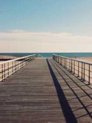 lt;lt;lt;lt;Good-loo