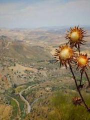 Rong Shao Nan Ning Y