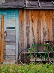 lt;Liang Yimo Cold N