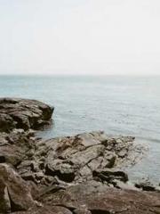 Double Blessing: CEO