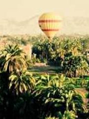 lt;gt;The son of a w