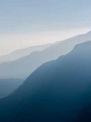 One Pregnancy, Two B