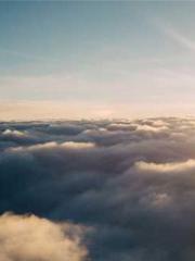 The Stand-in Wife Wa